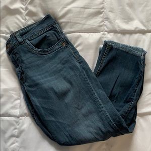 Democracy Jean Capris